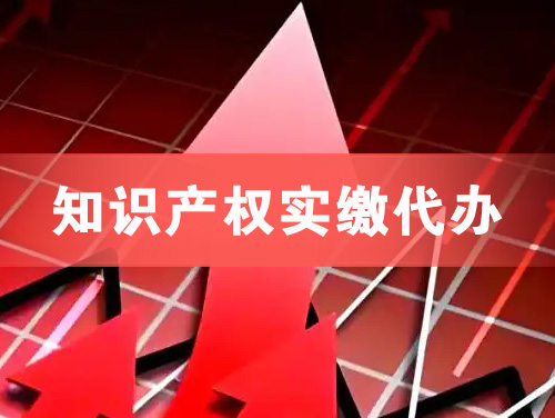 渠县知识产权实缴资本代办